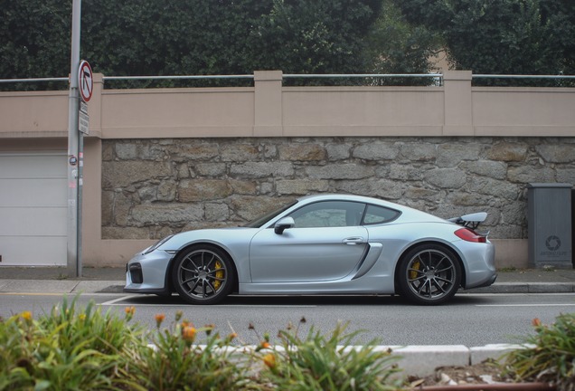 Porsche 981 Cayman GT4