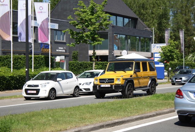 Mercedes-Benz G 63 AMG Crazy Color Edition