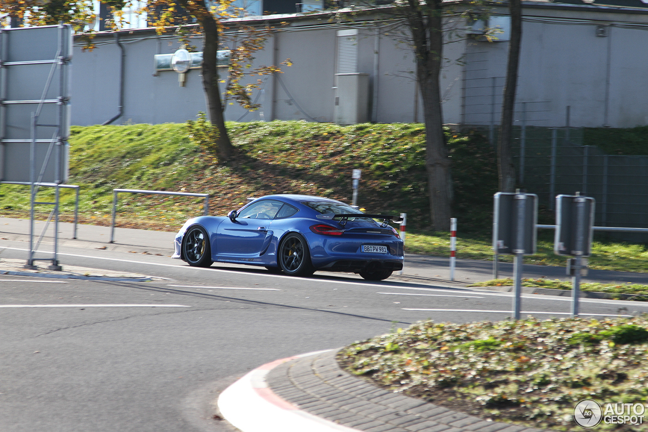 Porsche 981 Cayman GT4