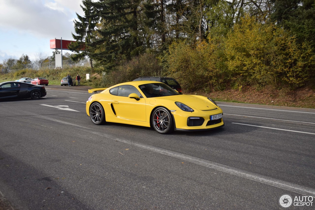 Porsche 981 Cayman GT4