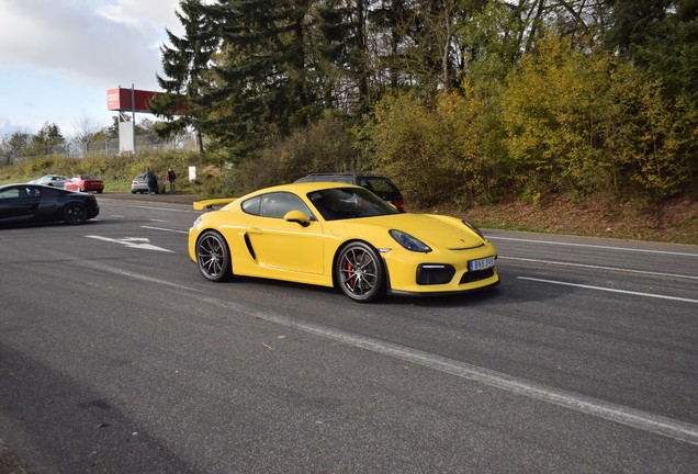 Porsche 981 Cayman GT4