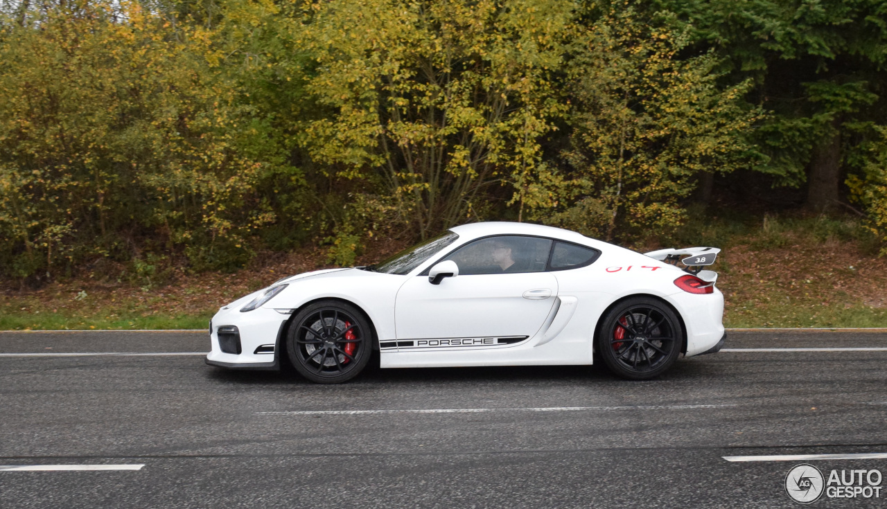 Porsche 981 Cayman GT4