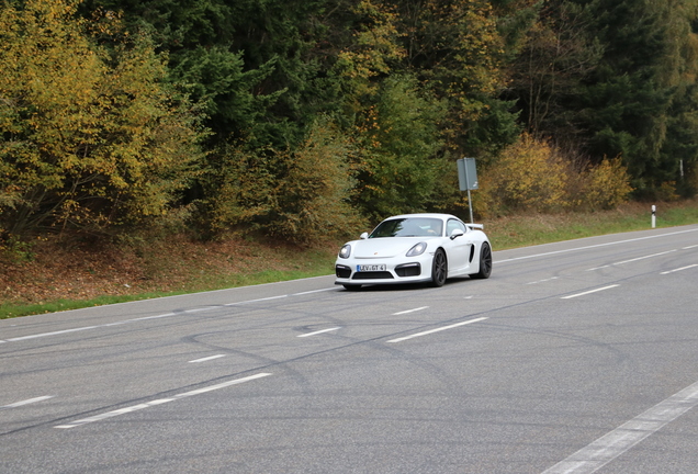 Porsche 981 Cayman GT4