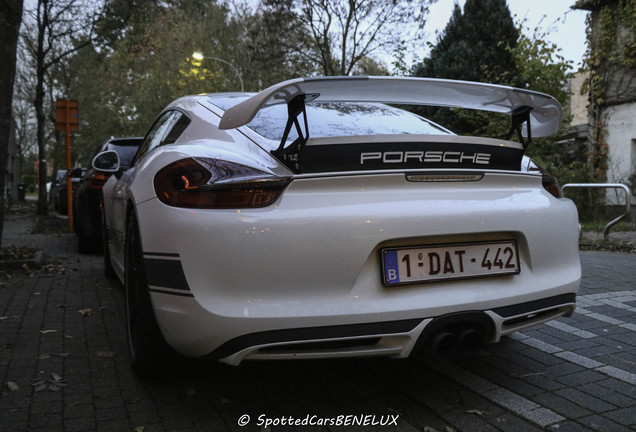 Porsche TechArt Cayman S 2013