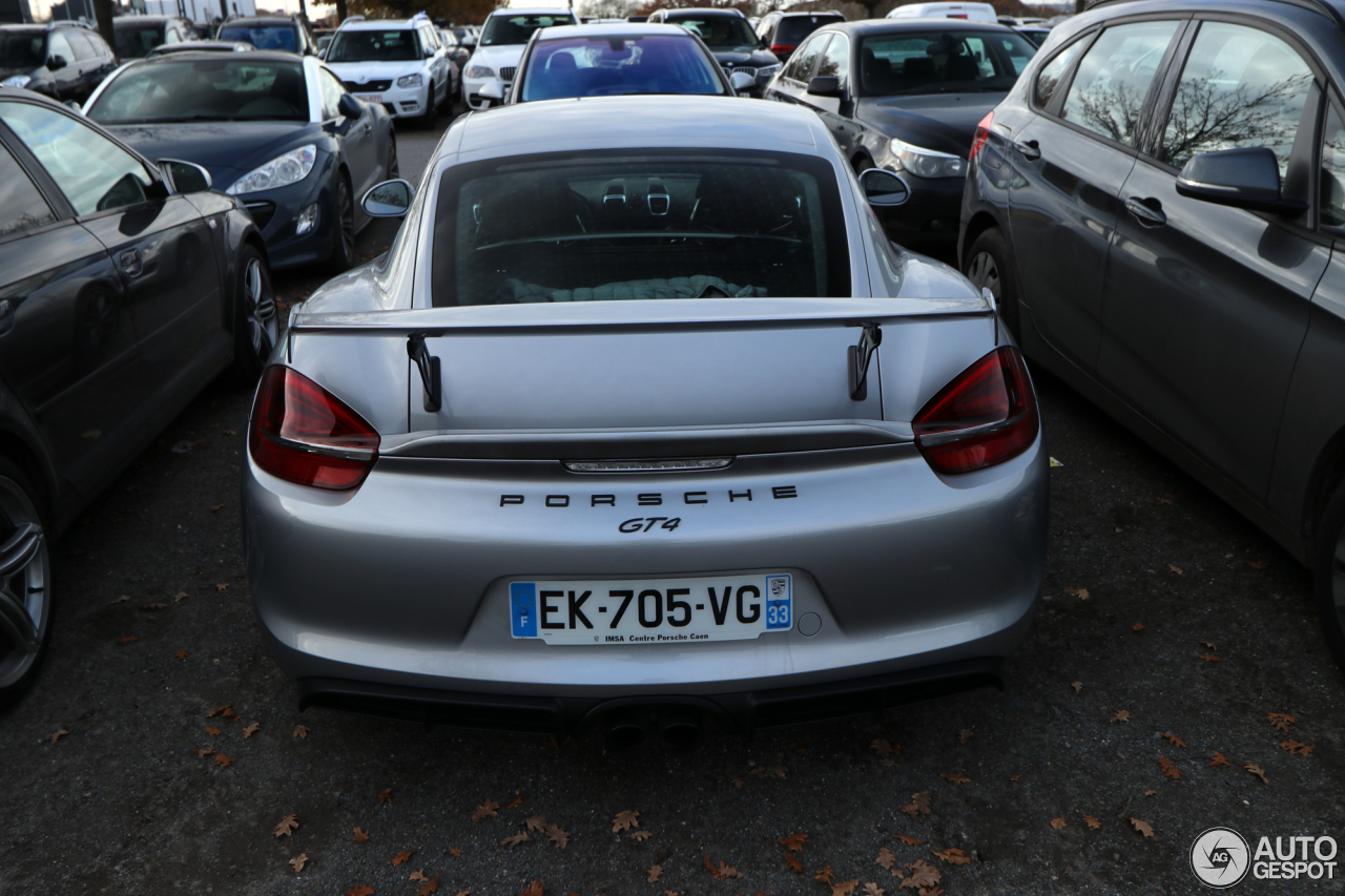 Porsche 981 Cayman GT4