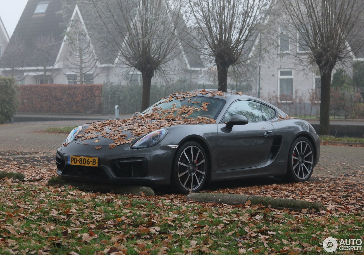 Porsche 981 Cayman GTS