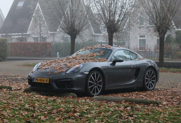 Porsche 981 Cayman GTS