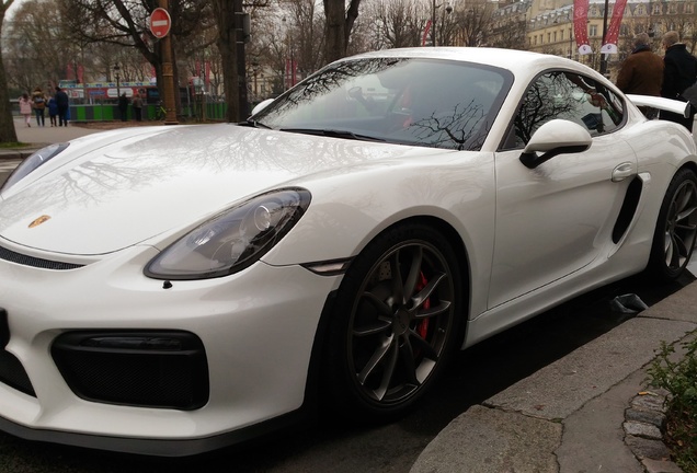 Porsche 981 Cayman GT4