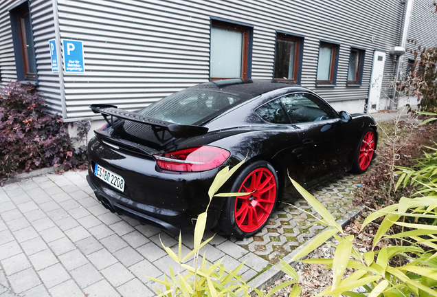 Porsche 981 Cayman GT4