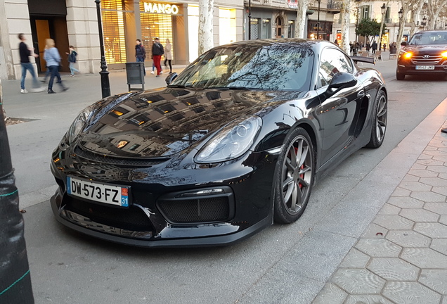 Porsche 981 Cayman GT4