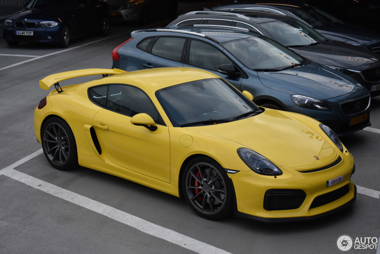 Porsche 981 Cayman GT4