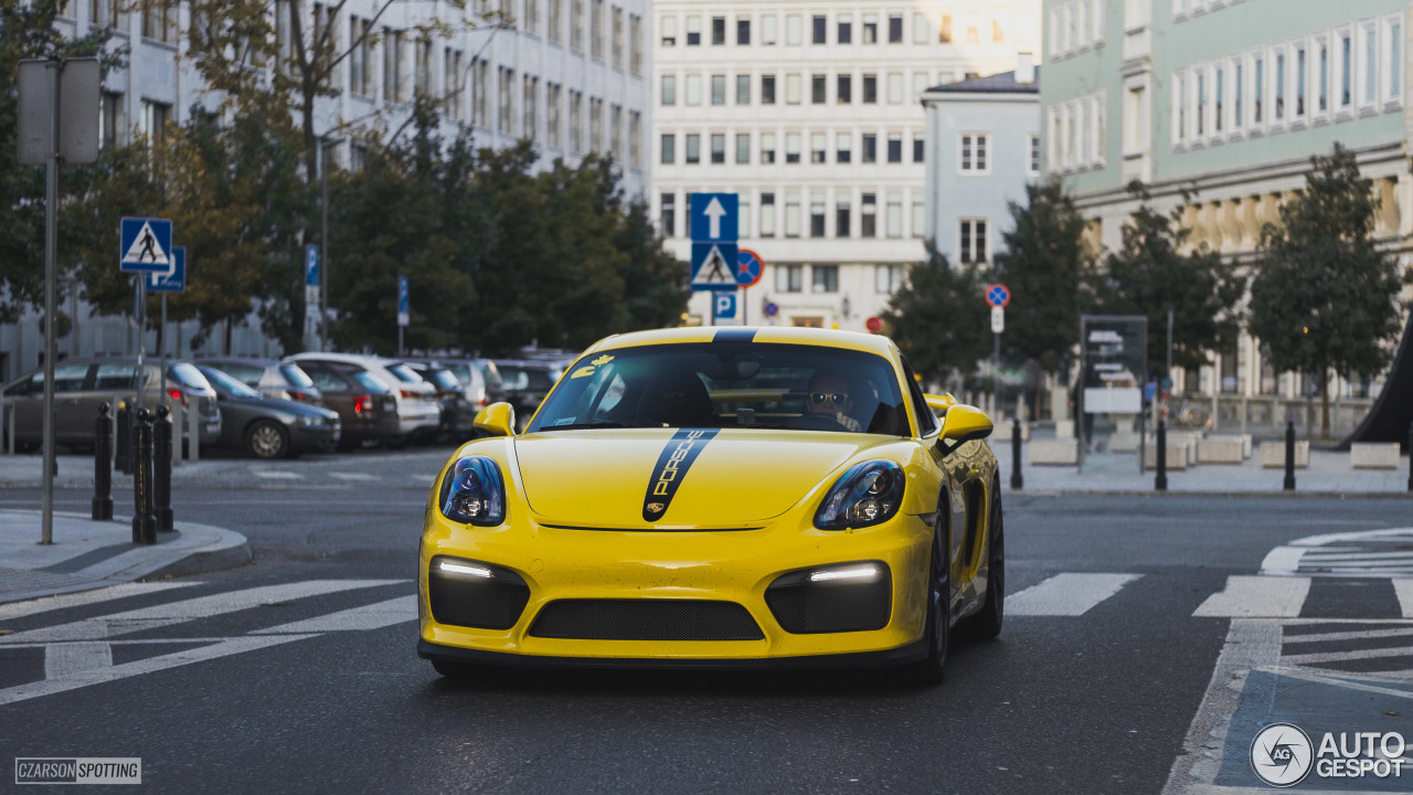 Porsche 981 Cayman GT4