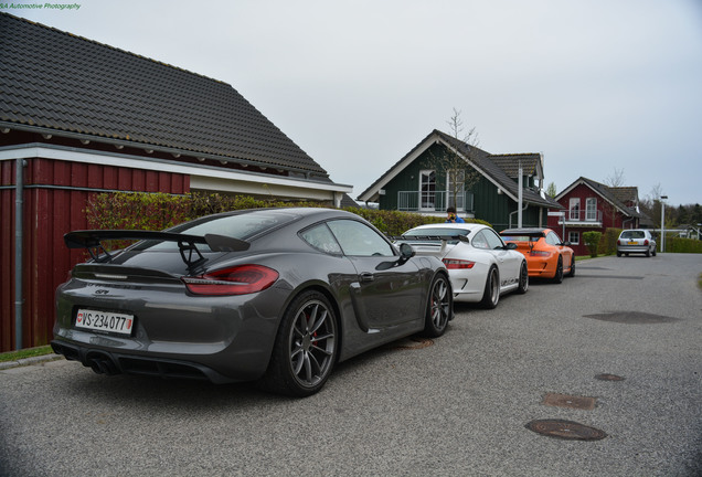 Porsche 981 Cayman GT4