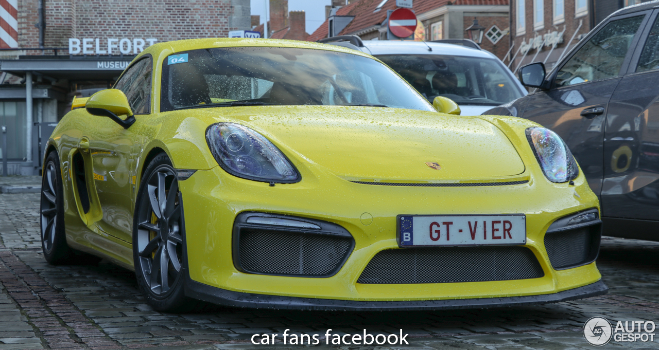 Porsche 981 Cayman GT4