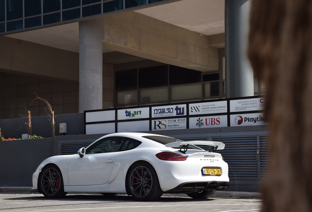 Porsche 981 Cayman GT4