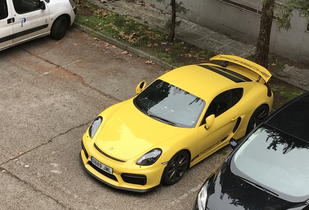 Porsche 981 Cayman GT4