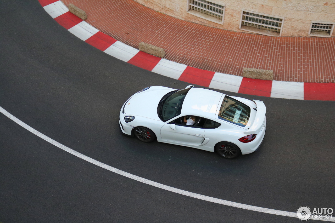 Porsche 981 Cayman GT4