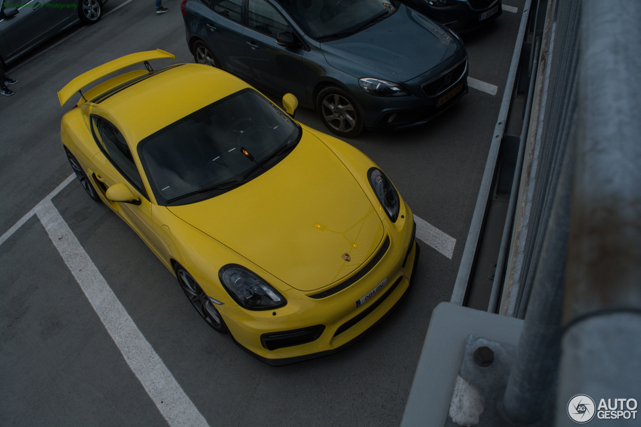 Porsche 981 Cayman GT4