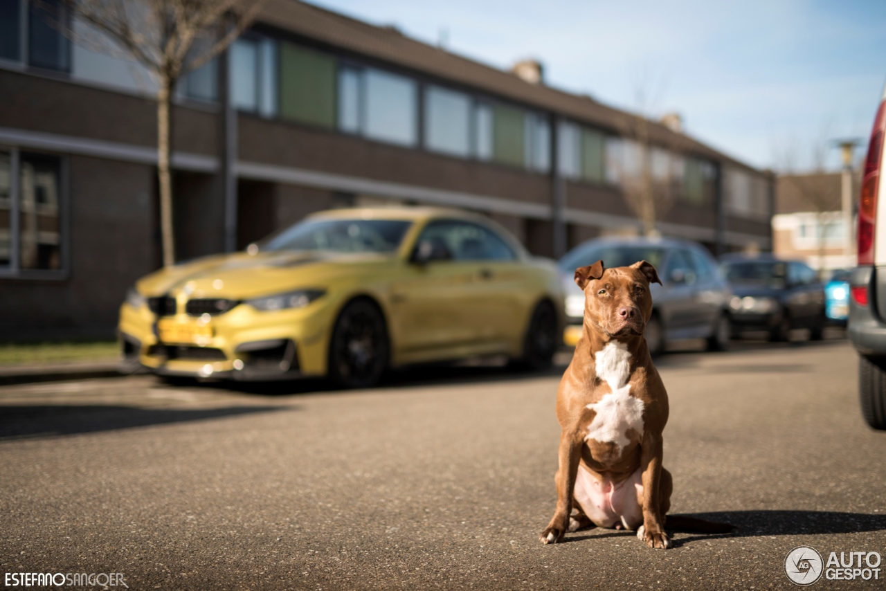 BMW M4 F83 Convertible RevoZport