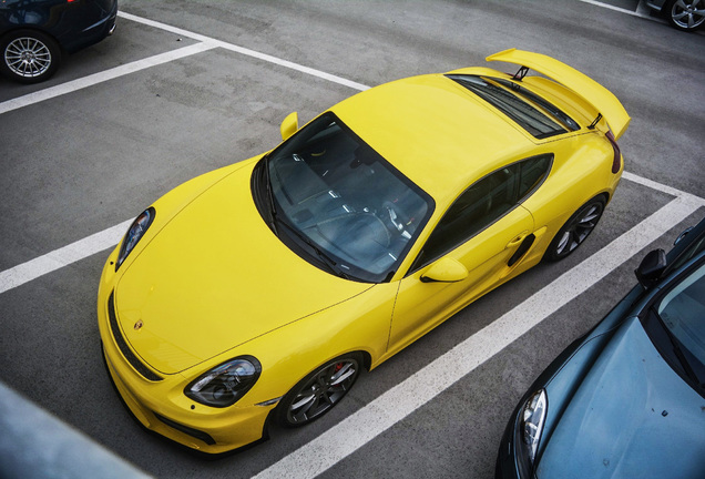 Porsche 981 Cayman GT4