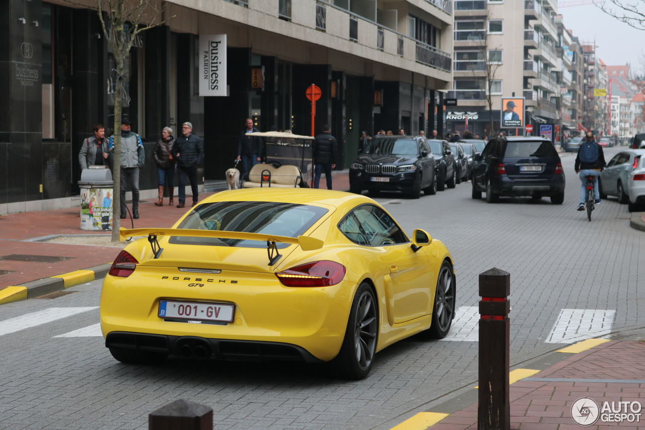 Porsche 981 Cayman GT4