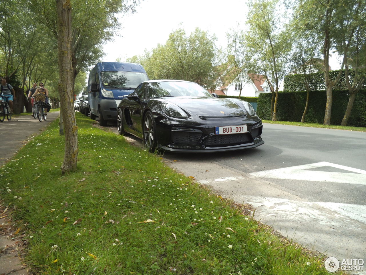 Porsche 981 Cayman GT4