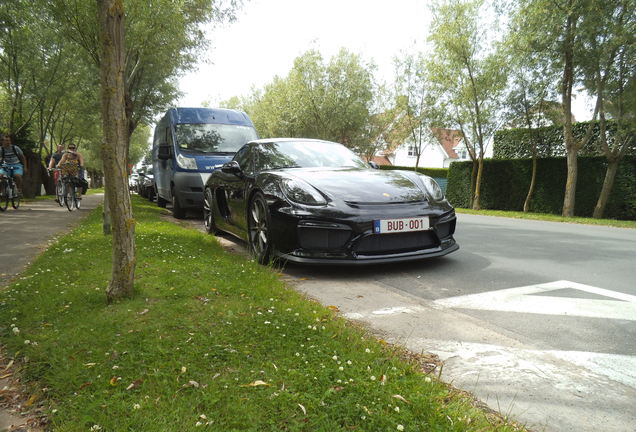 Porsche 981 Cayman GT4