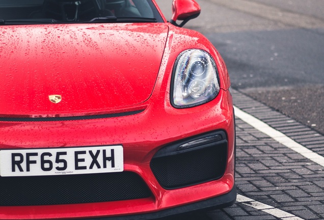 Porsche 981 Cayman GT4