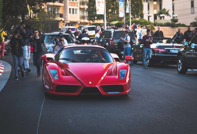 Ferrari Enzo Ferrari