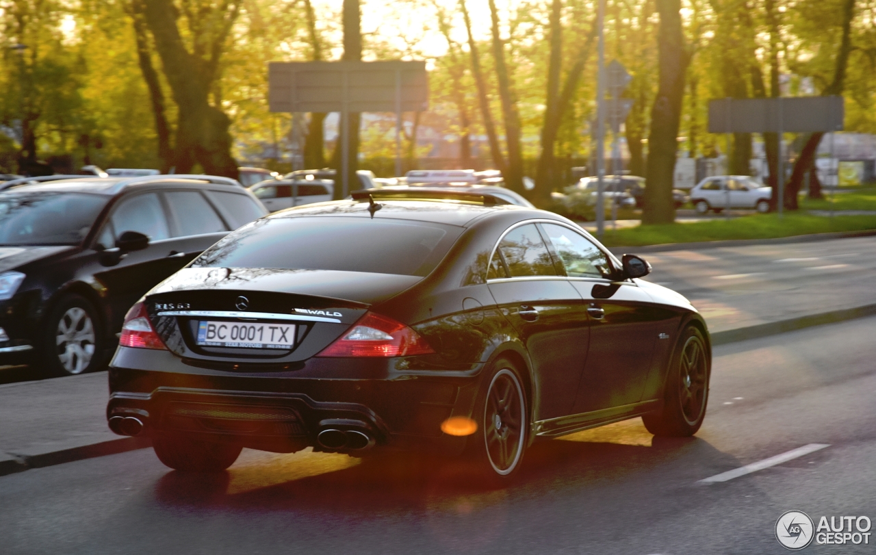 Mercedes-Benz CLS 63 AMG C219 Wald Black Bison