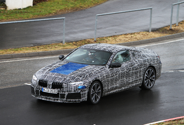 BMW M850i xDrive 2019