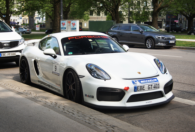 Porsche 981 Cayman GT4