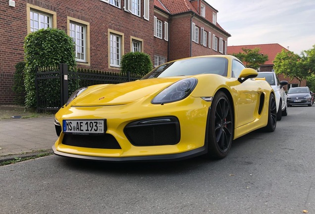 Porsche 981 Cayman GT4