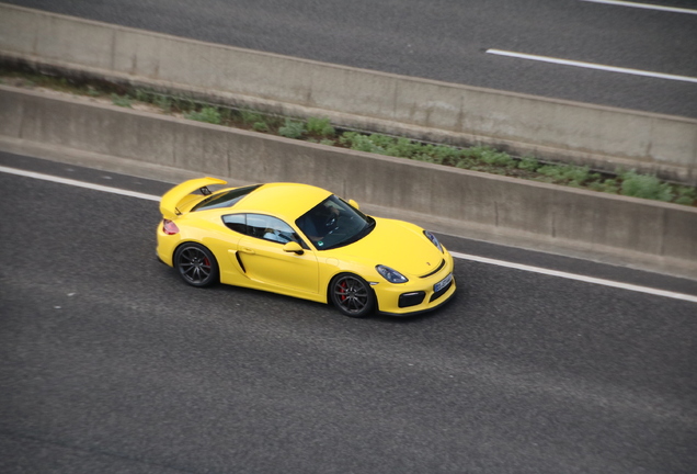 Porsche 981 Cayman GT4