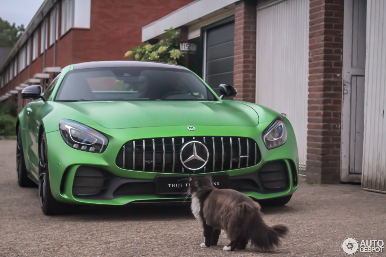 Mercedes-AMG GT R C190