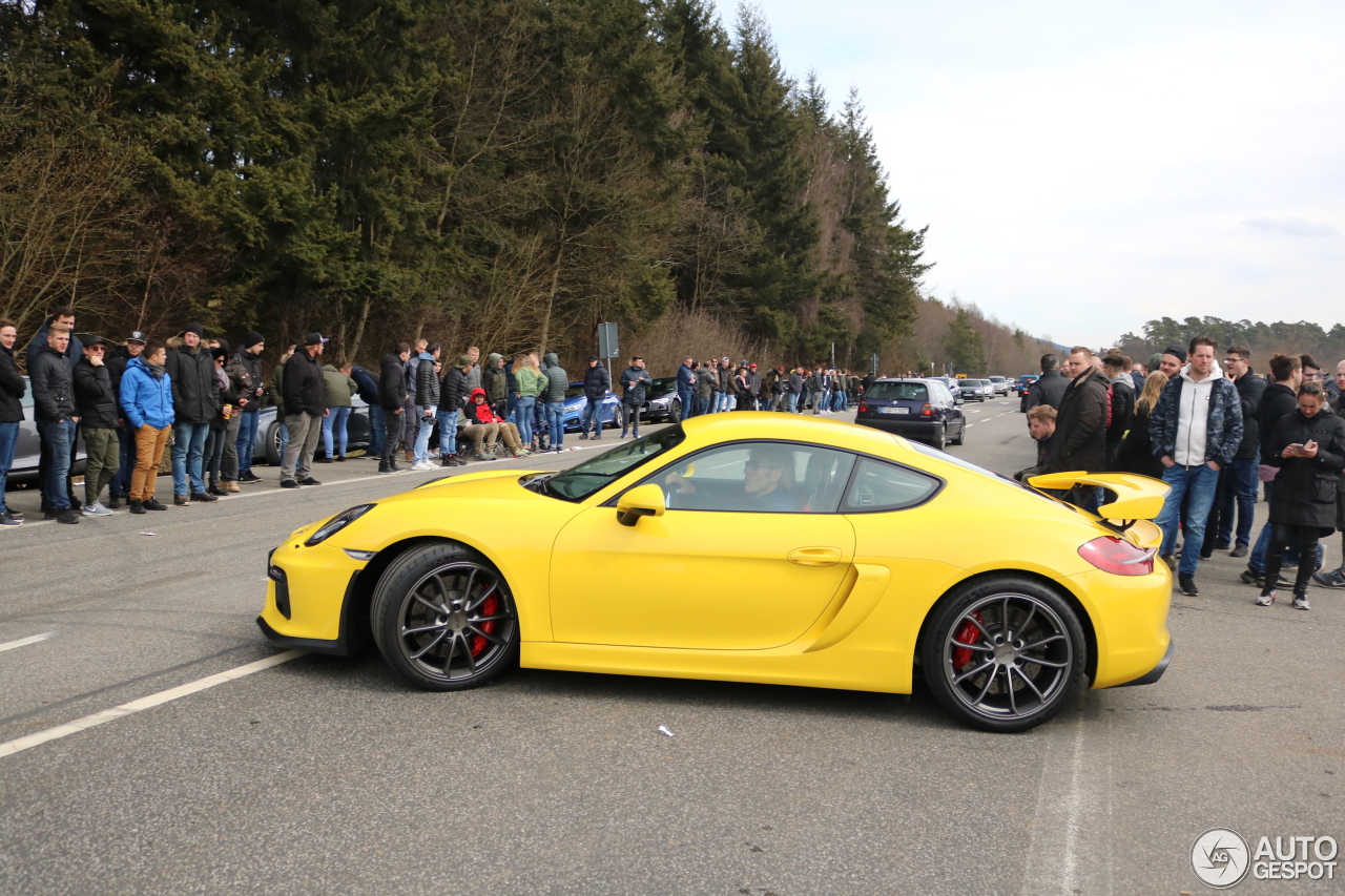 Porsche 981 Cayman GT4