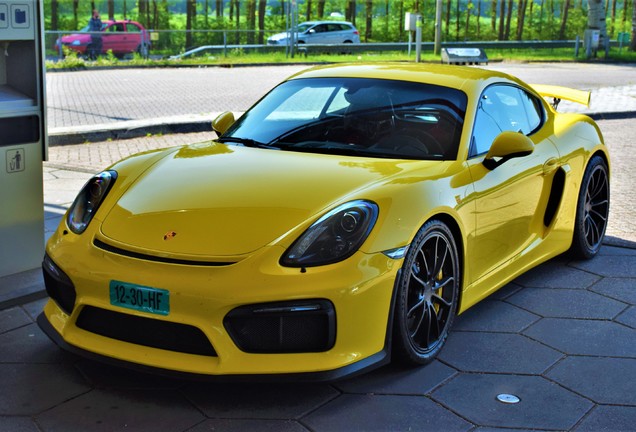 Porsche 981 Cayman GT4