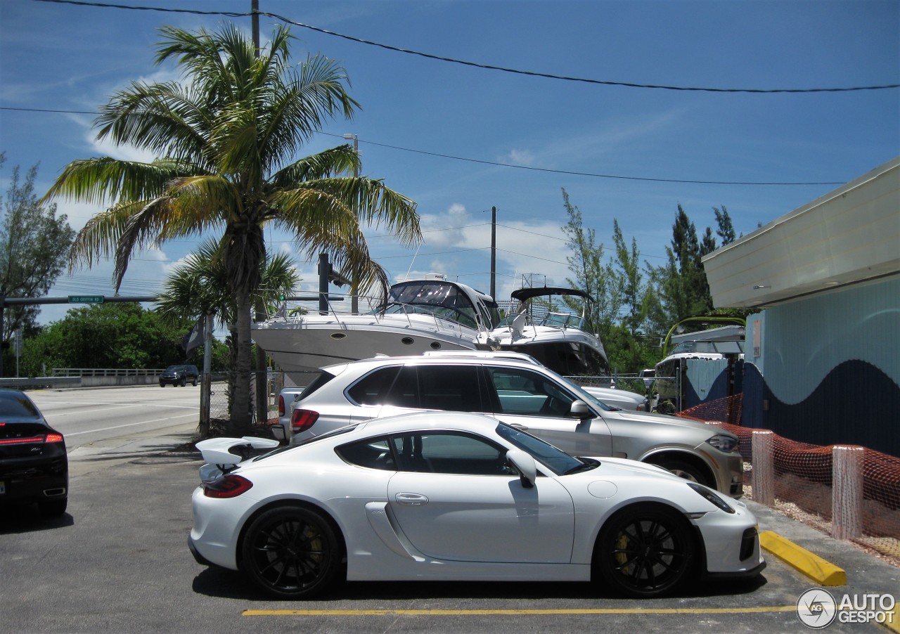 Porsche 981 Cayman GT4