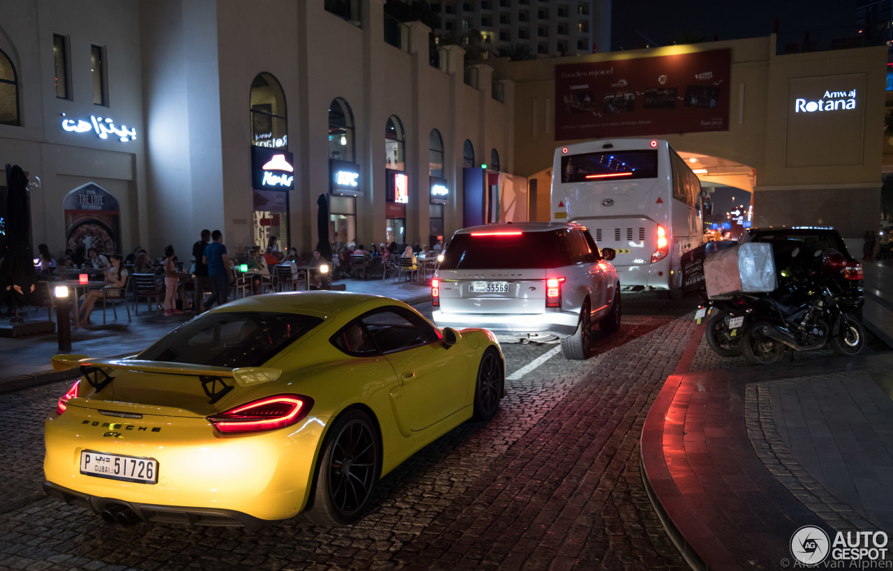 Porsche 981 Cayman GT4