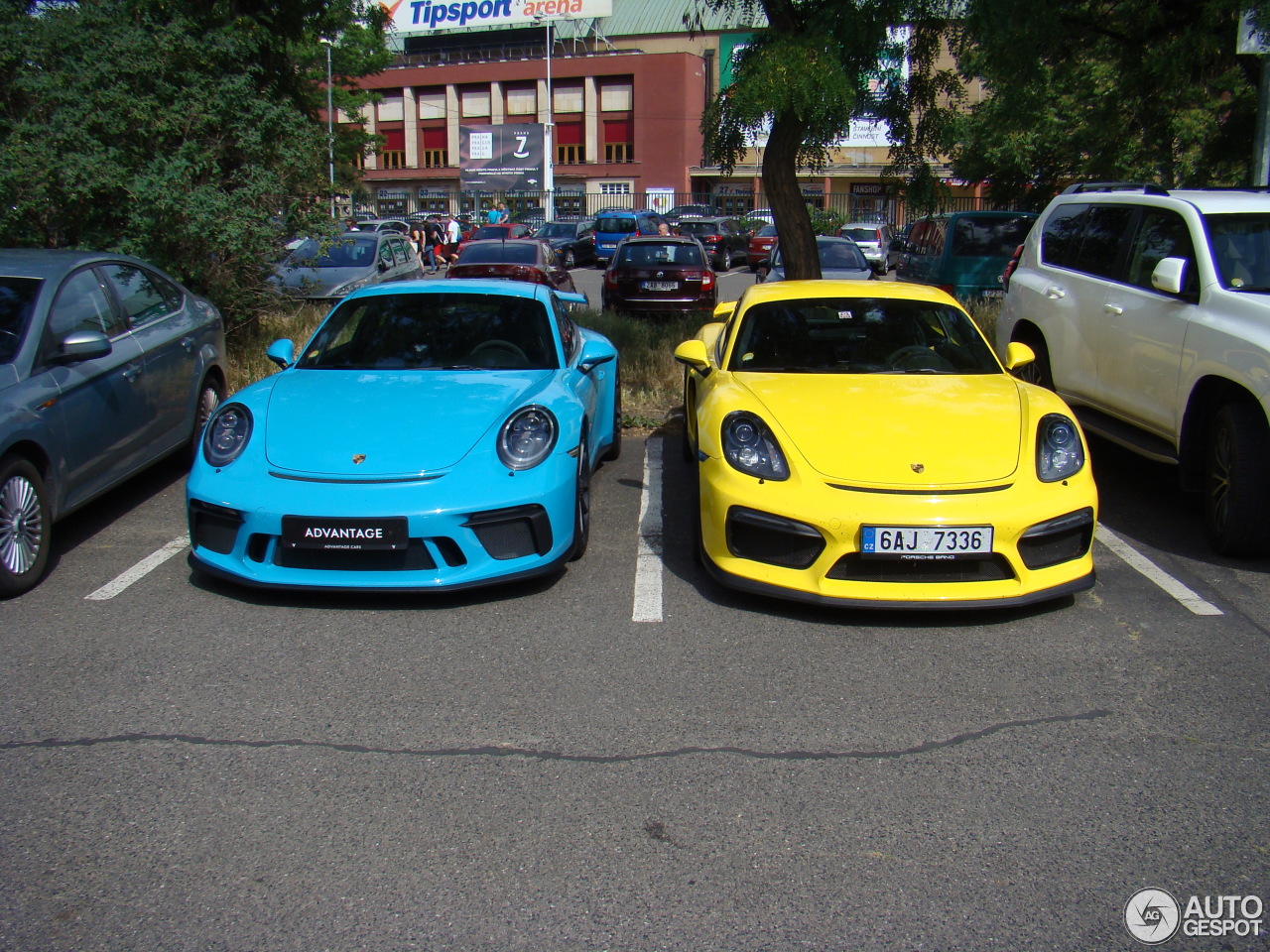 Porsche 981 Cayman GT4