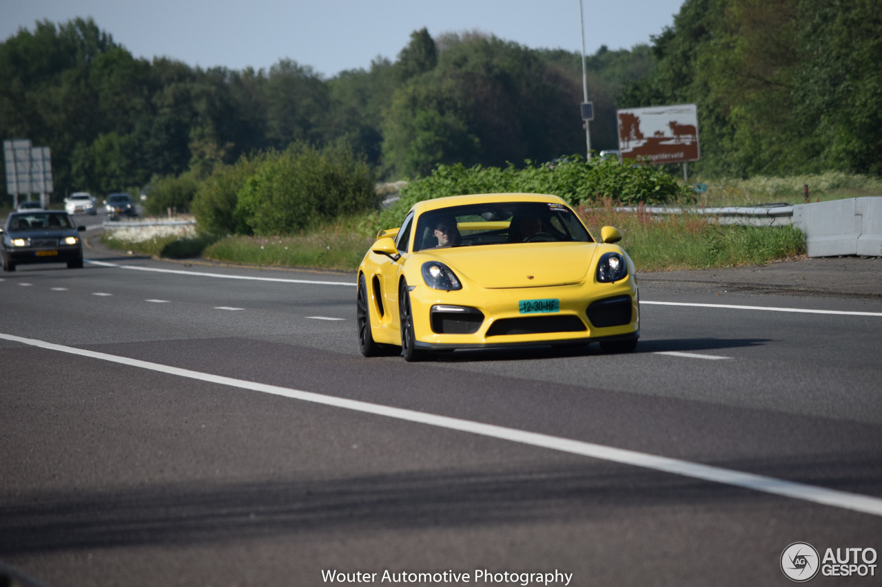 Porsche 981 Cayman GT4