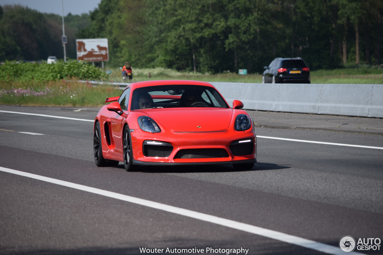 Porsche 981 Cayman GT4