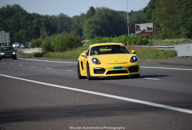 Porsche 981 Cayman GT4