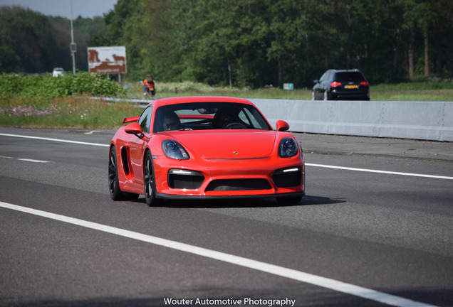 Porsche 981 Cayman GT4