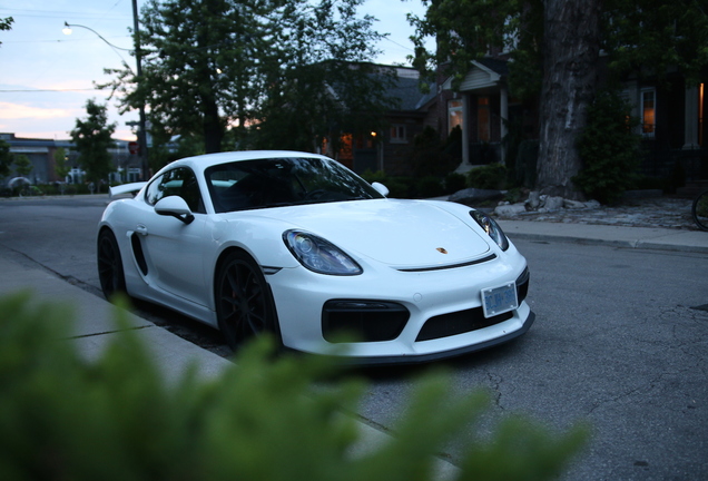 Porsche 981 Cayman GT4