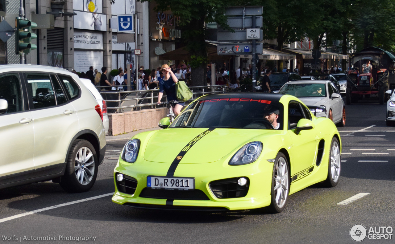 Porsche TechArt Cayman S 2013