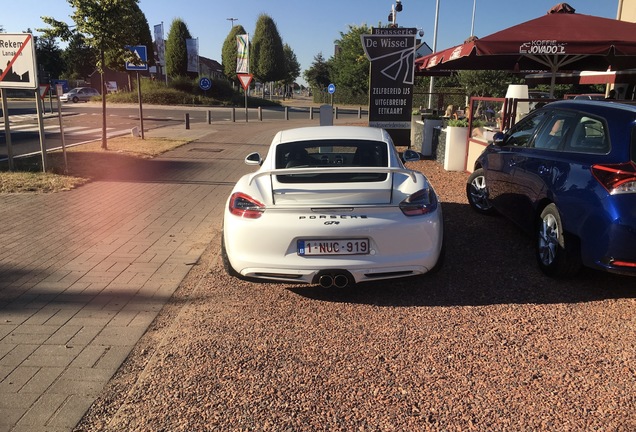 Porsche 981 Cayman GTS