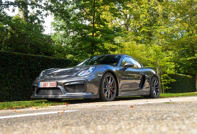 Porsche 981 Cayman GT4