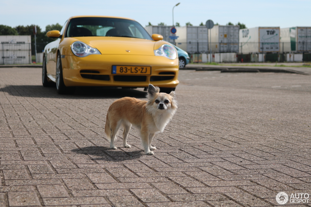 Porsche 996 GT3 MkII