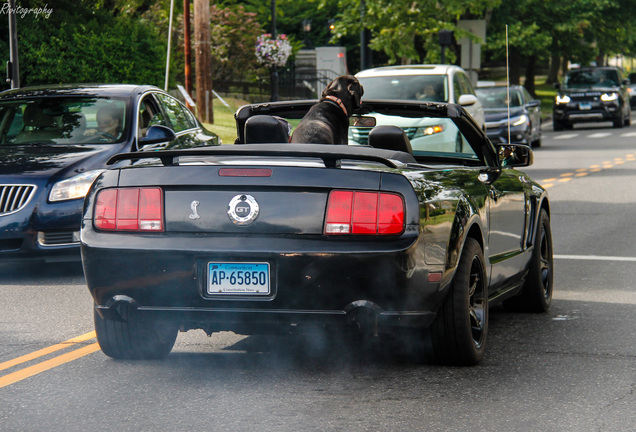 Ford Mustang GT Convertible